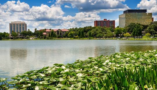 Printing Services in Polk County, FL