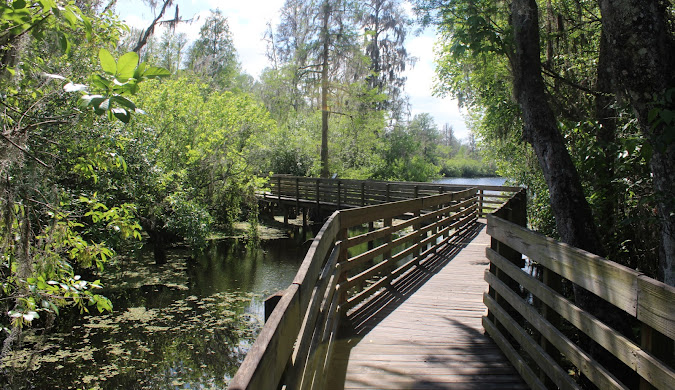 Printing Services in Temple Terrace, FL